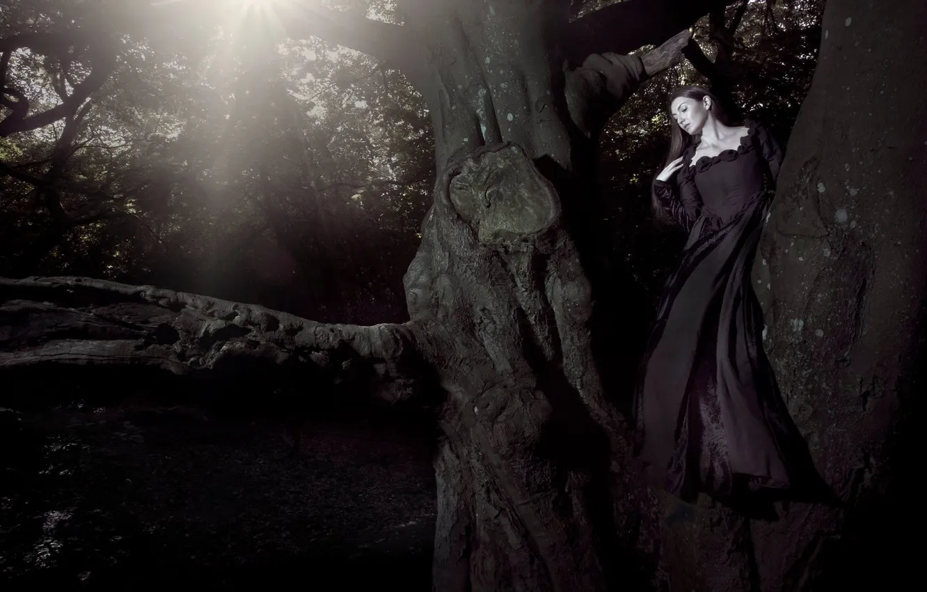 Photo wallpaper Tree, Wallpaper, Woman, Black Dress, Sun &ampamp; Shade
