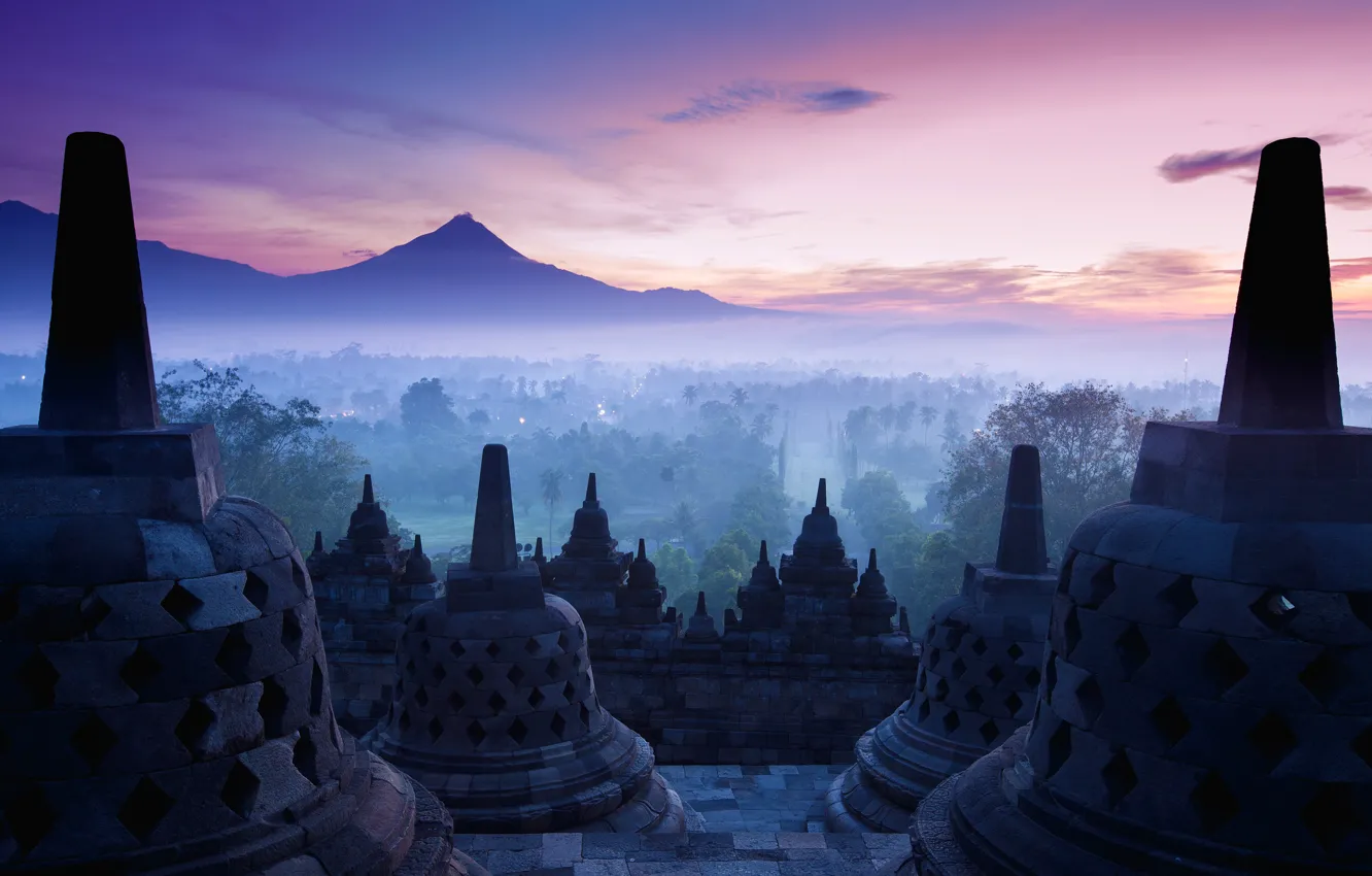 Photo wallpaper forest, the sky, trees, mountains, bridge, lights, fog, palm trees