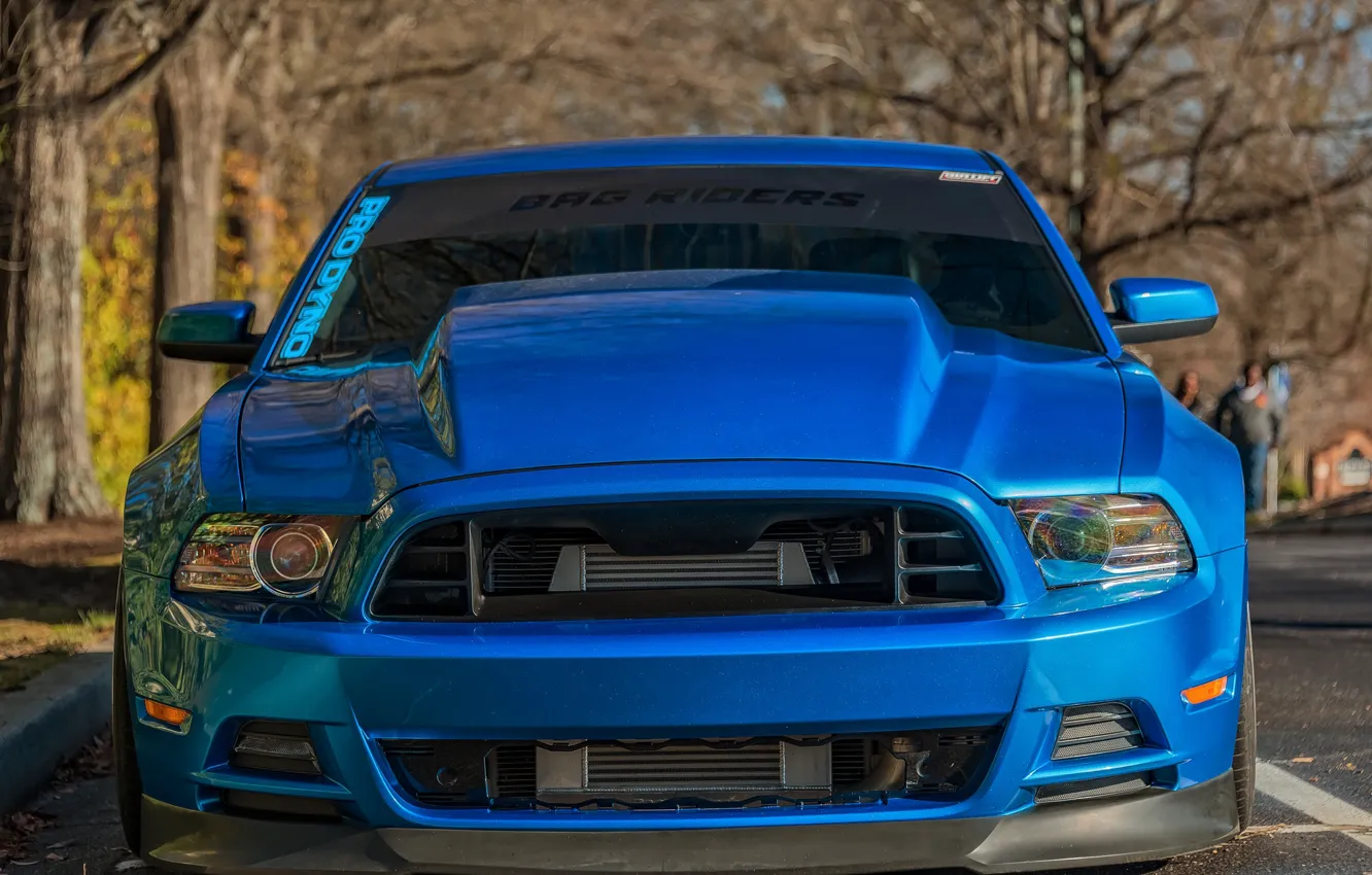Photo wallpaper Mustang, Ford, car, the front