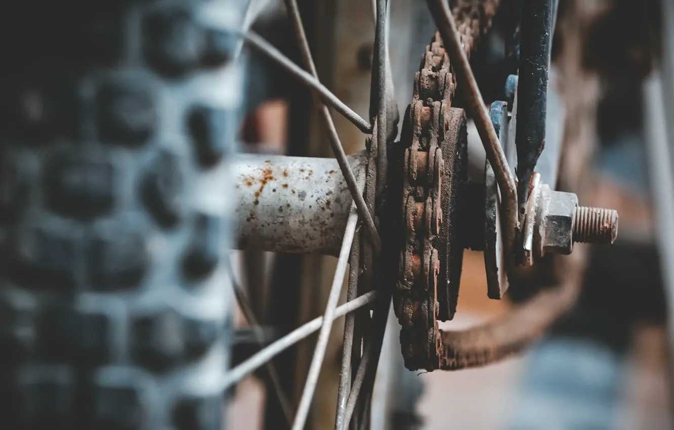 Photo wallpaper bike, wheel, chain