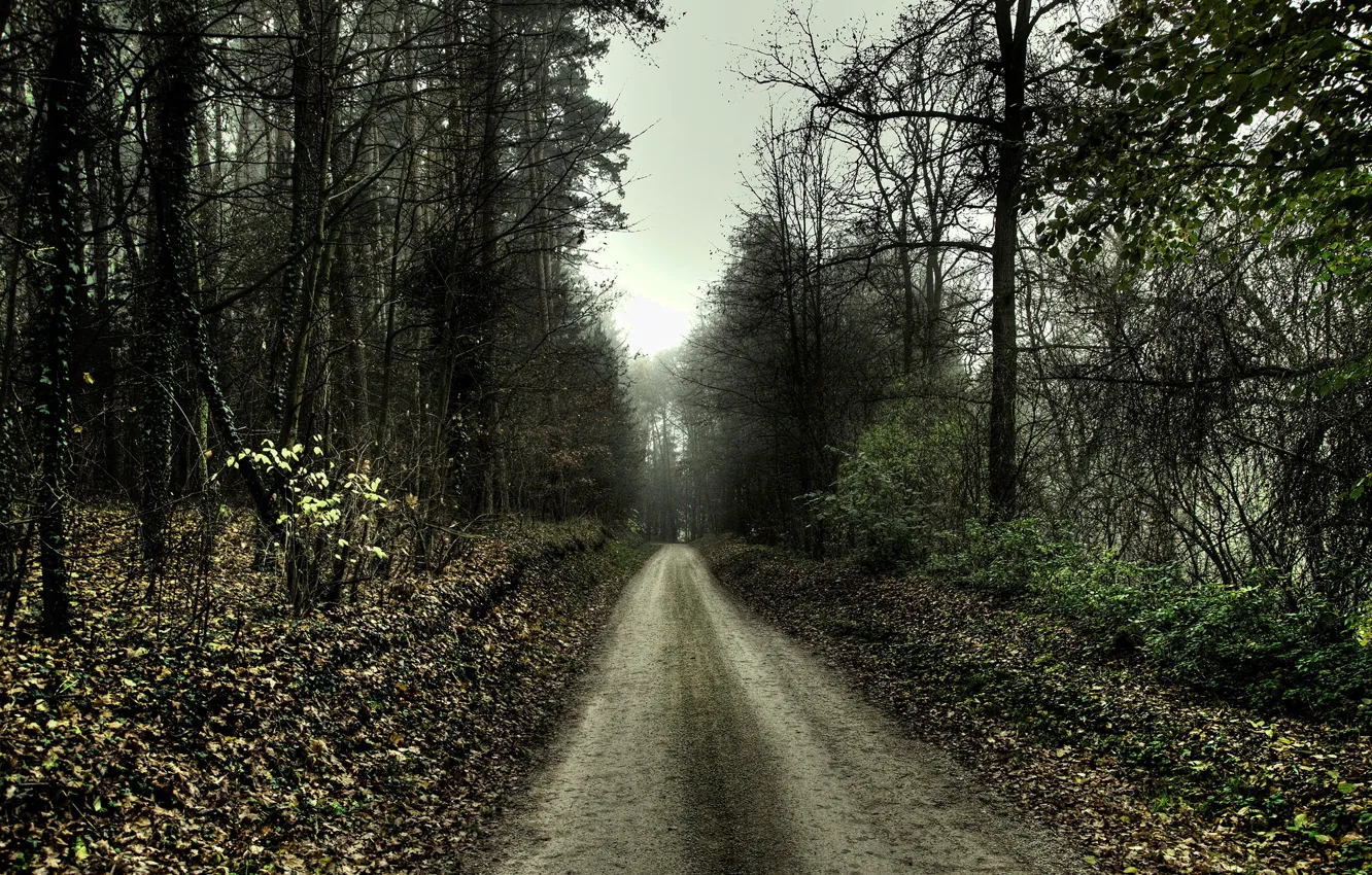 Photo wallpaper road, sadness, autumn, 154