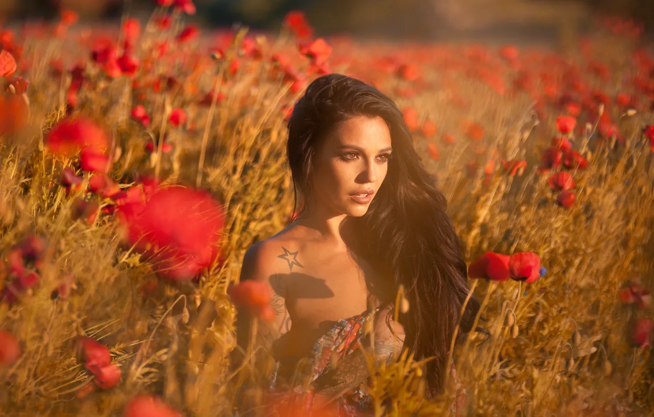 Photo wallpaper field, look, girl, flowers, nature, Maki, brunette, tattoo