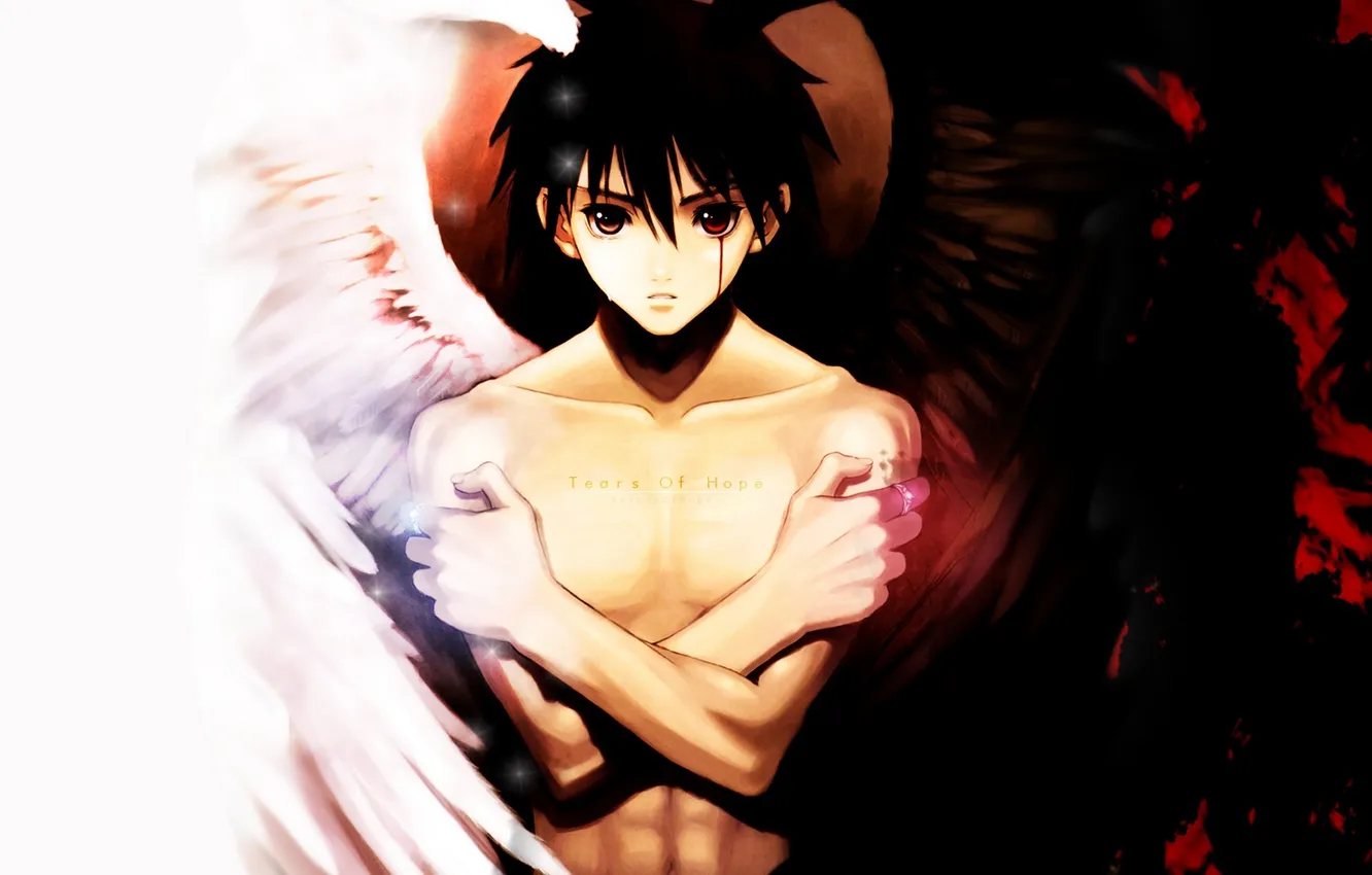 Photo wallpaper blood, wings, anime, ring, art, guy, taka tony, Shining Tears X Wind