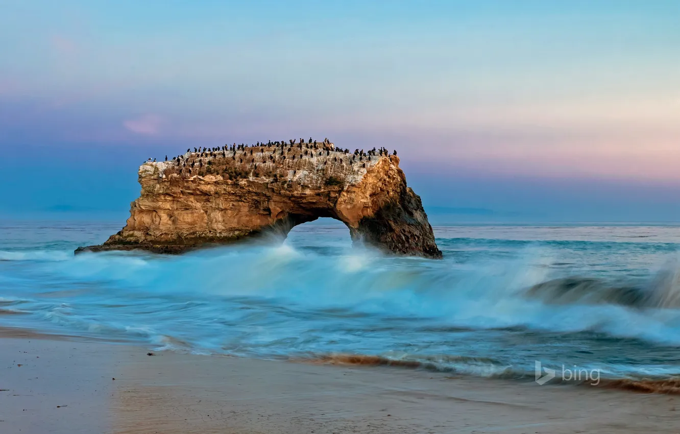 Photo wallpaper sea, wave, birds, rock, CA, arch, USA, Santa Cruz