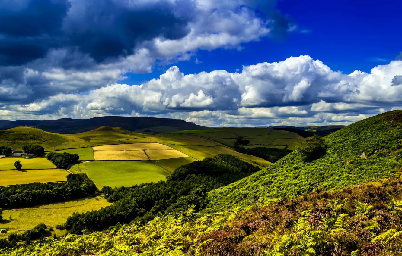 Photo wallpaper greens, field, grass, clouds, trees, UK, Ladybower