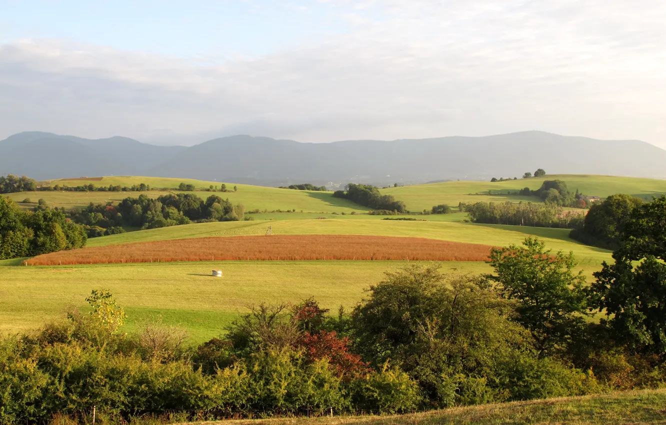 Photo wallpaper field, the sky, trees, mountains, Czech Republic, kozlovice