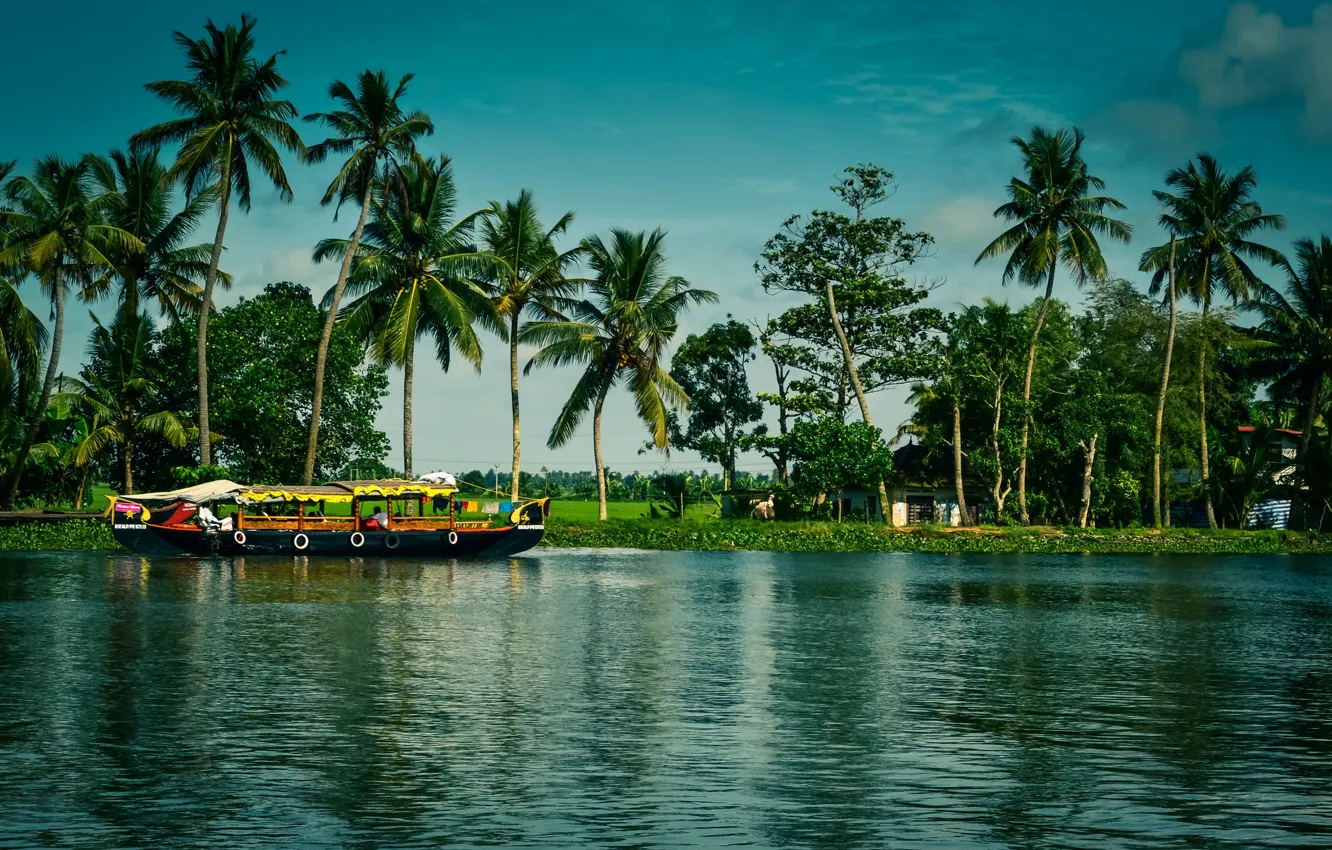 Photo wallpaper greens, the sun, trees, river, palm trees, boat, India, houses