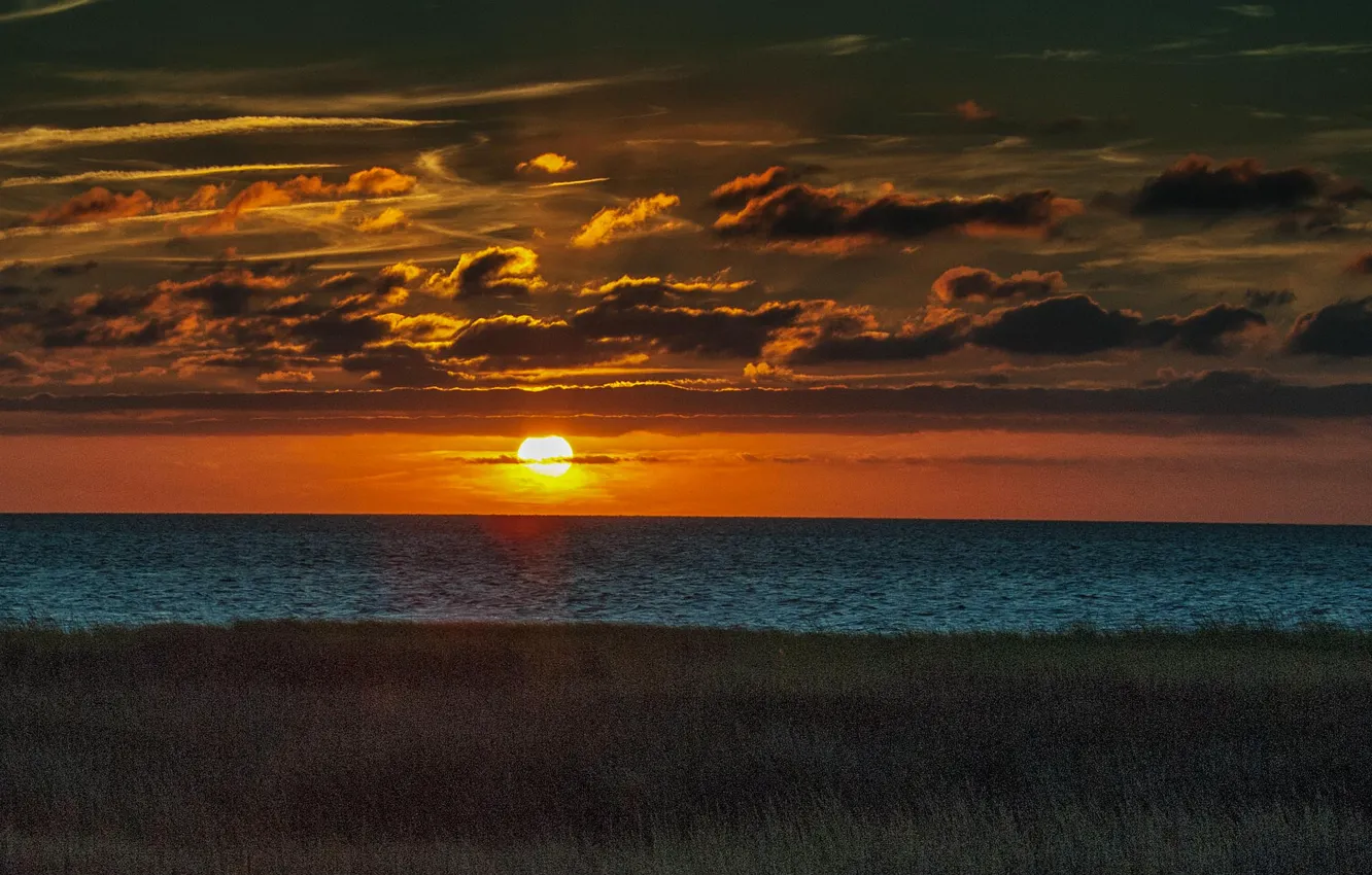 Photo wallpaper sea, the sky, grass, the sun, clouds, sunset, shore, horizon