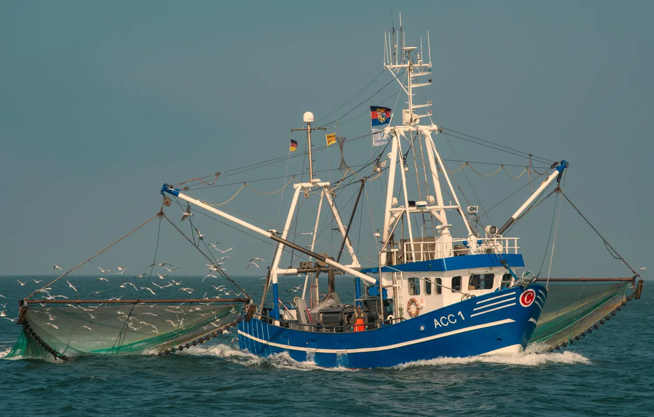 Photo wallpaper sea, the sky, bird, fisherman