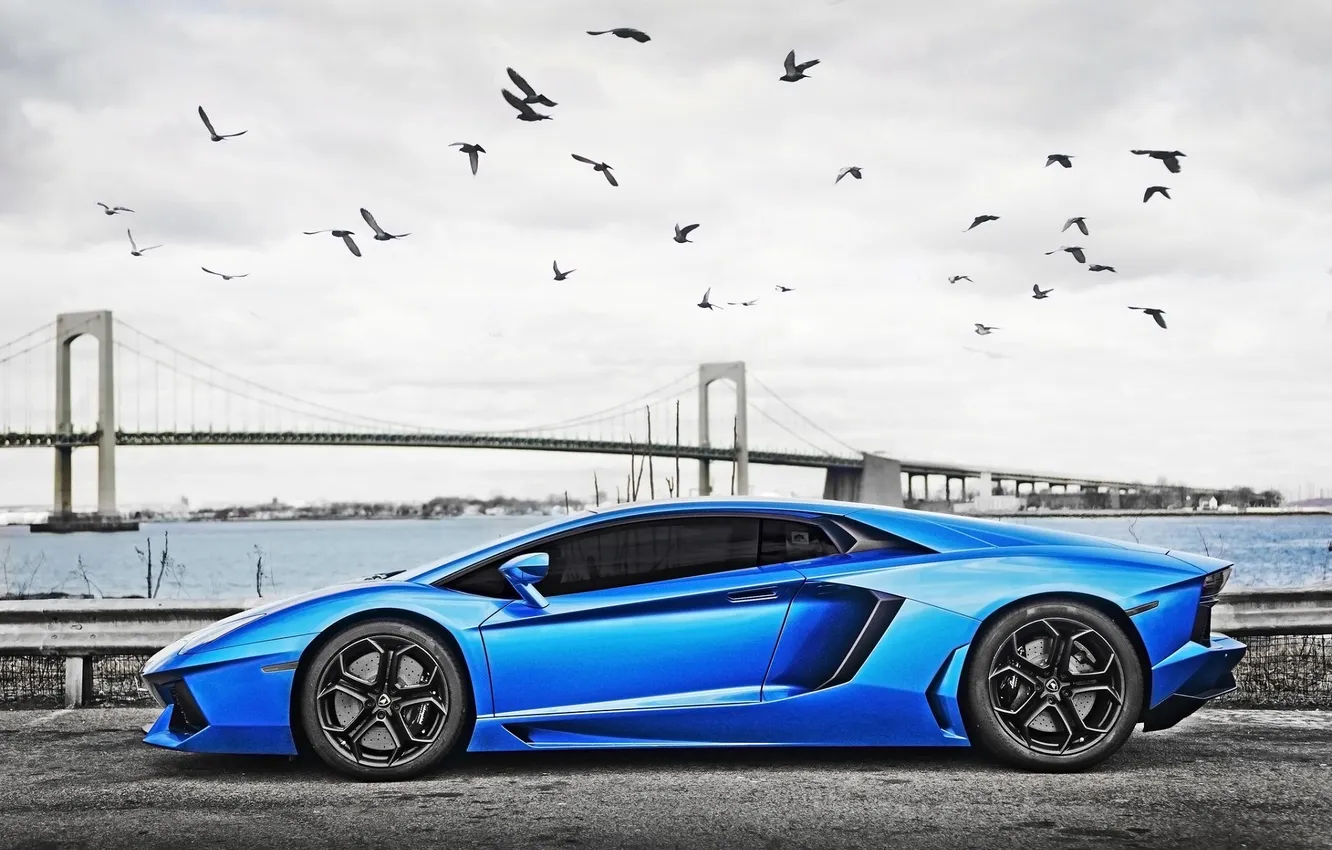 Photo wallpaper bridge, Lamborghini, supercar, blue, LP700-4, Aventador, Supercar