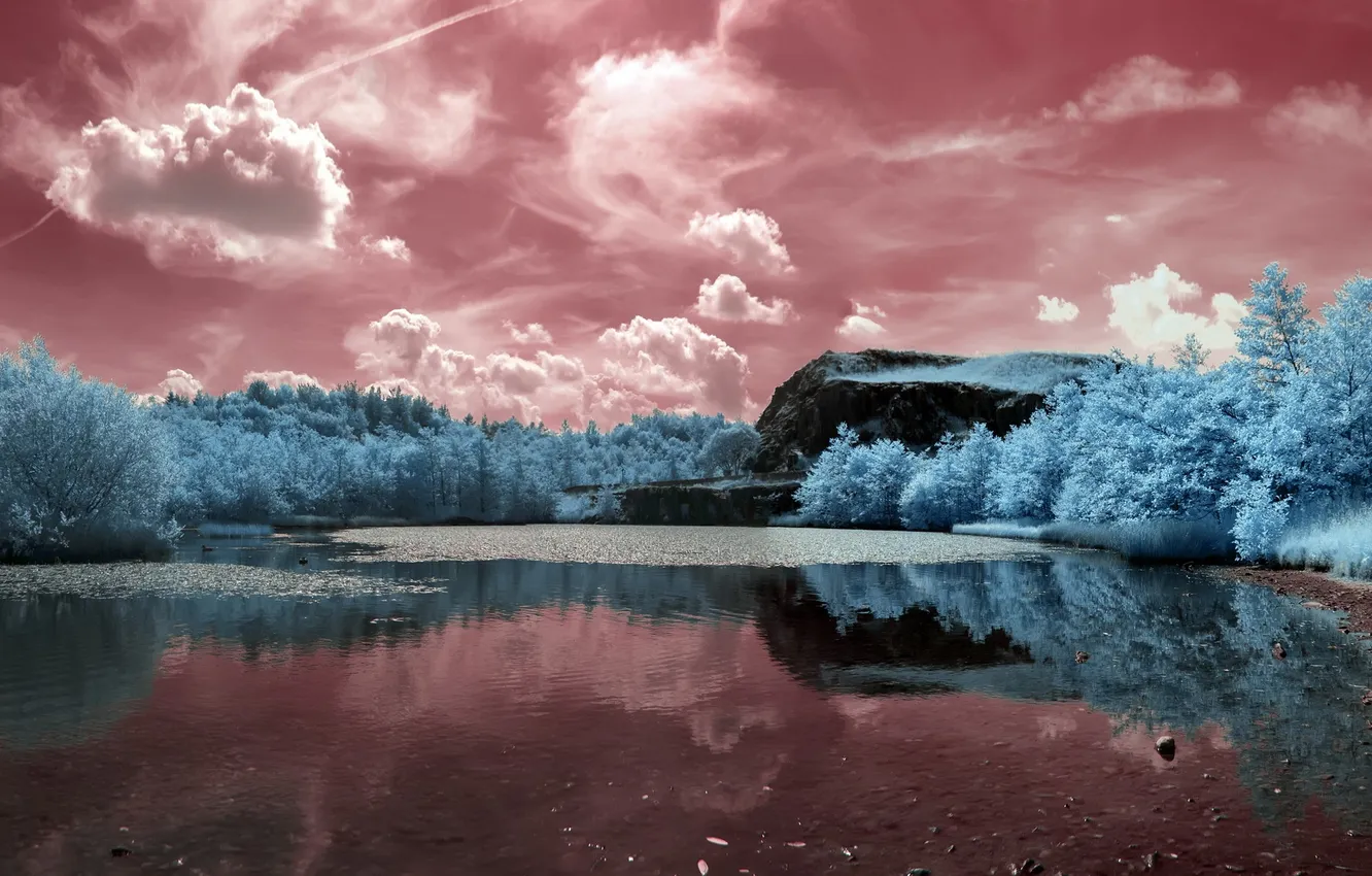 Photo wallpaper summer, landscape, river, color