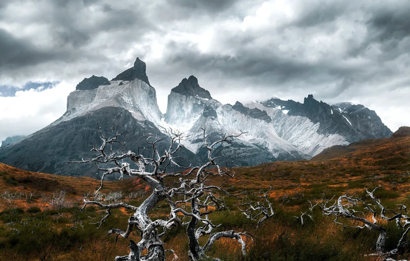 Photo wallpaper autumn, trees, mountains, Andes