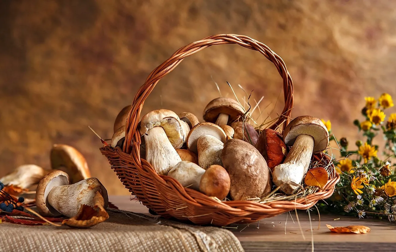 Photo wallpaper basket, mushrooms, basket, Still life