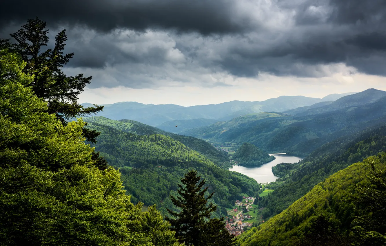 Photo wallpaper forest, mountains, pond, landscapes, settlement