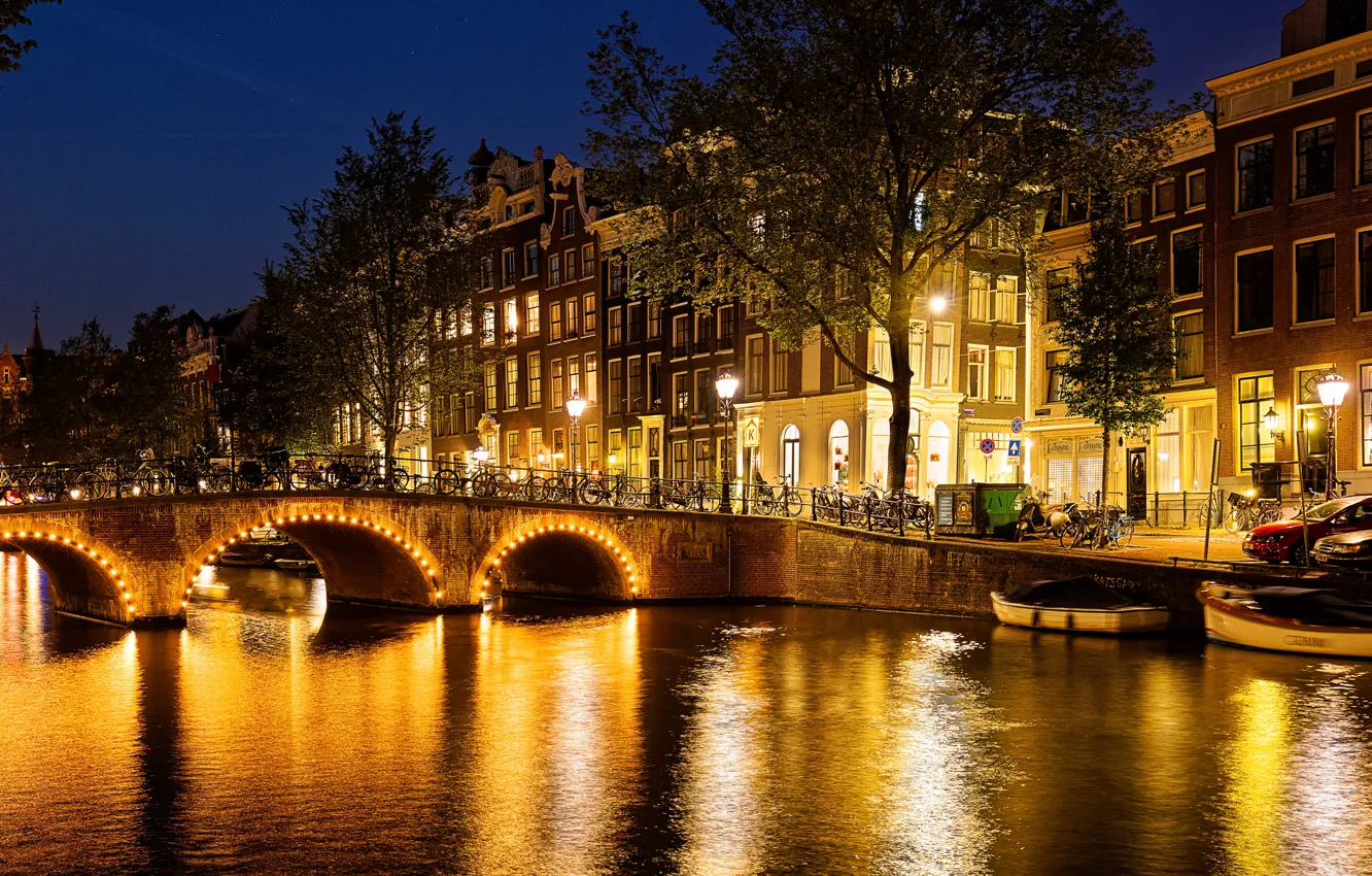 Photo wallpaper trees, night, bridge, bike, lights, river, home, Amsterdam