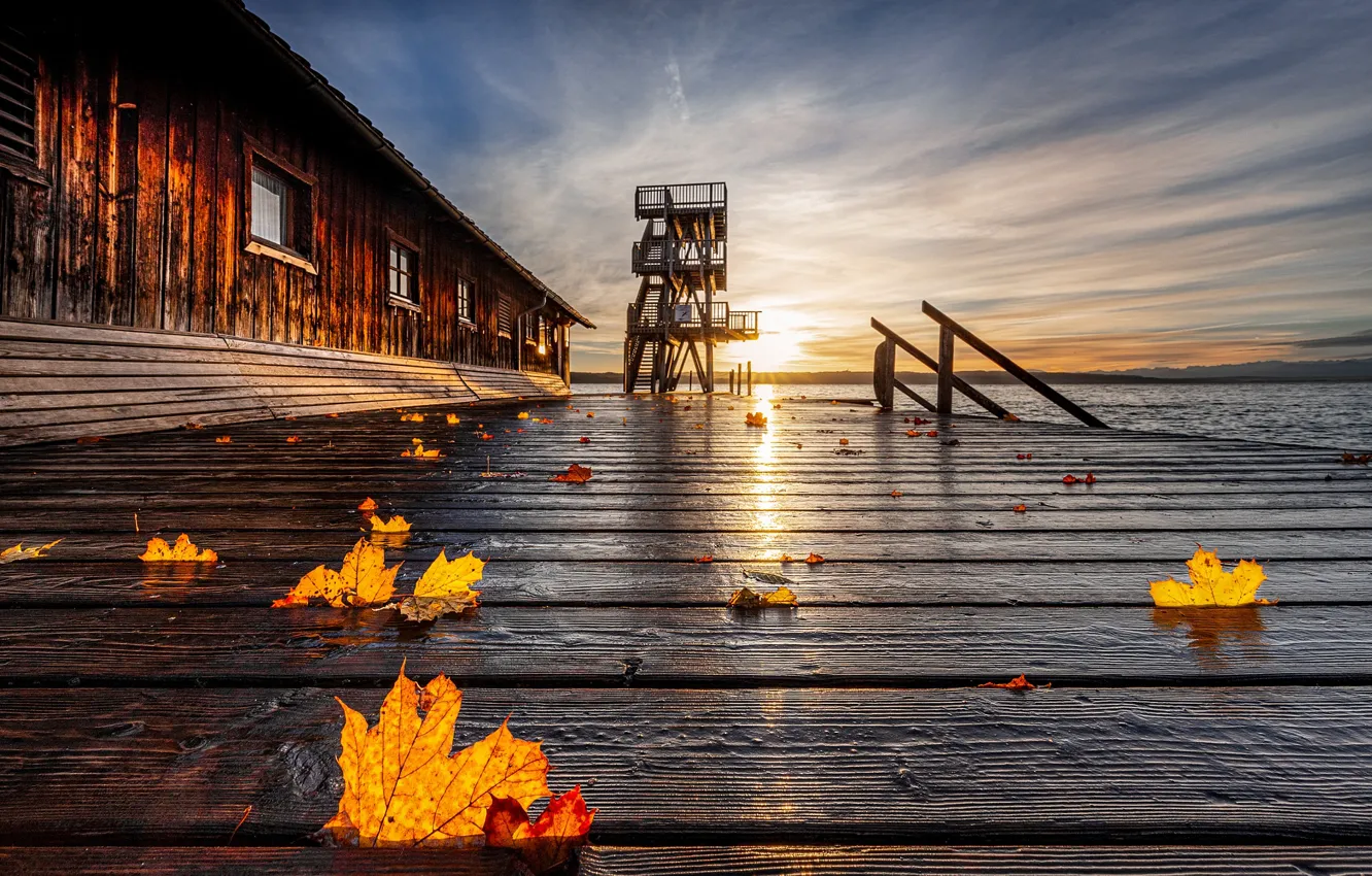 Photo wallpaper autumn, leaves, pierce, pond