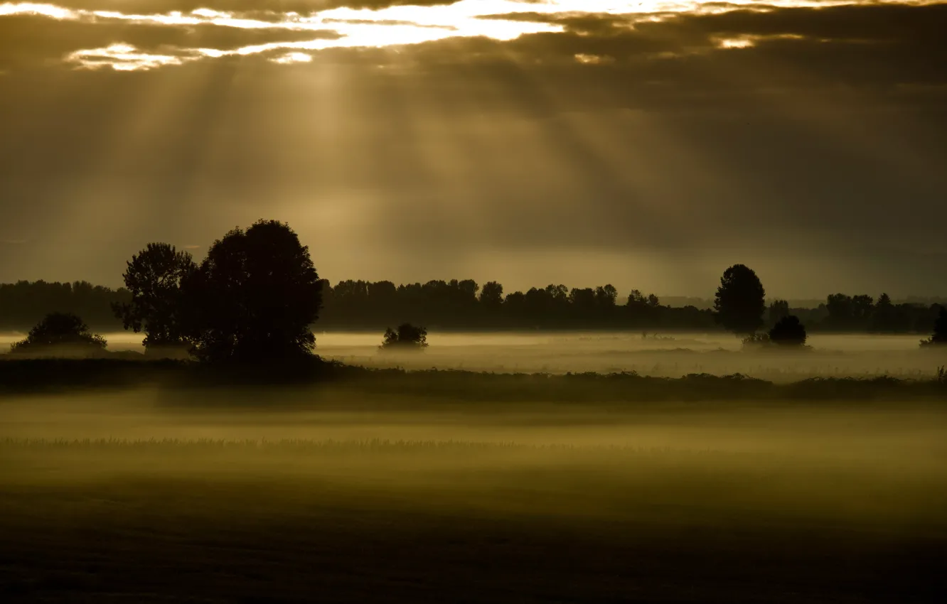 Photo wallpaper field, night, fog