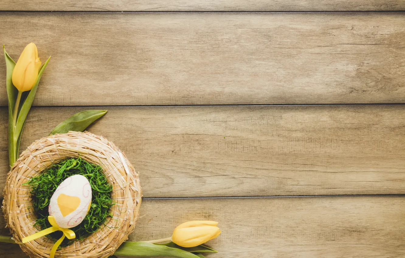 Photo wallpaper holiday, eggs, spring, Easter, socket, tulips