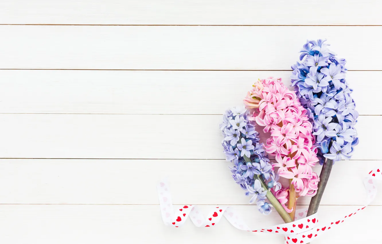 Photo wallpaper flowers, bouquet, pink, blue, pink, flowers, hyacinths, hyacinths