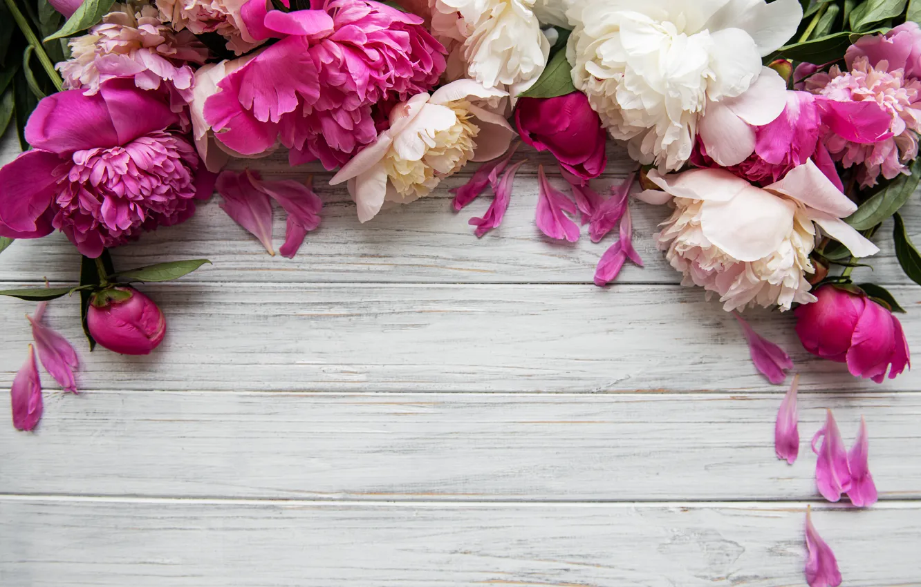 Photo wallpaper flowers, pink, wood, pink, flowers, peonies, petals, peonies