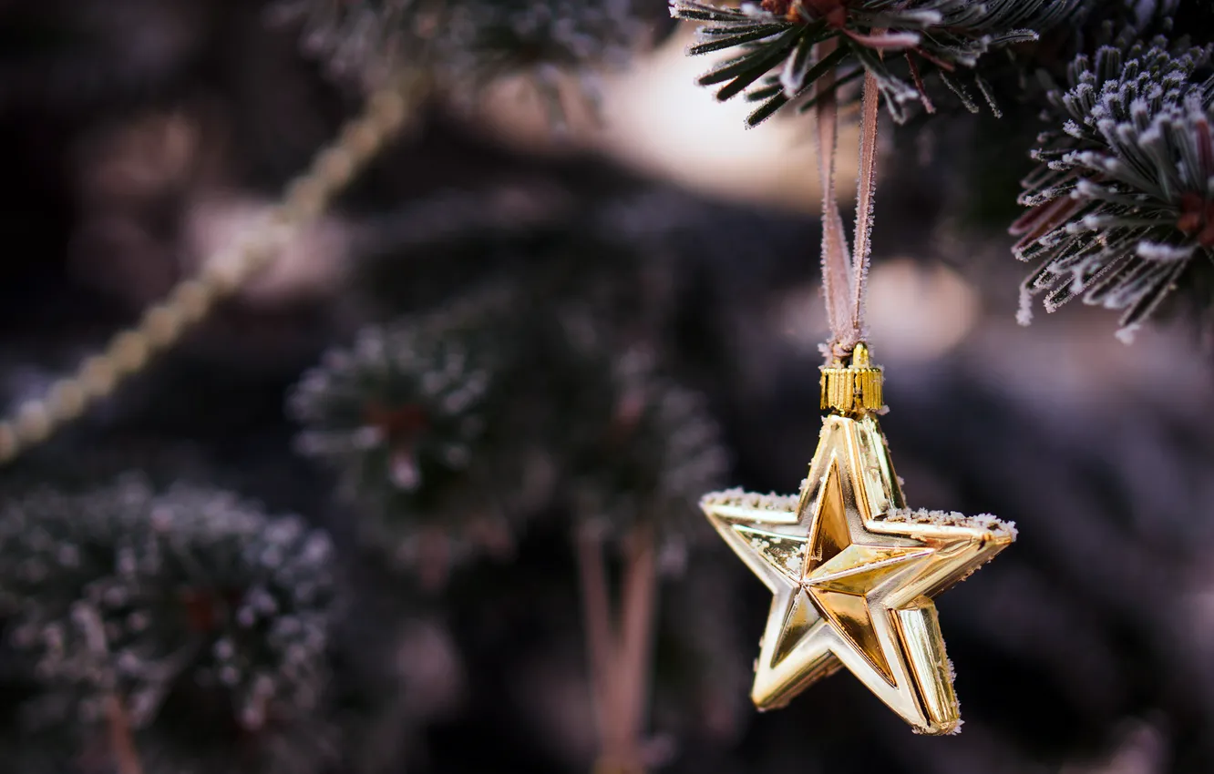 Photo wallpaper winter, branches, tree, toy, star, tree, spruce, New Year