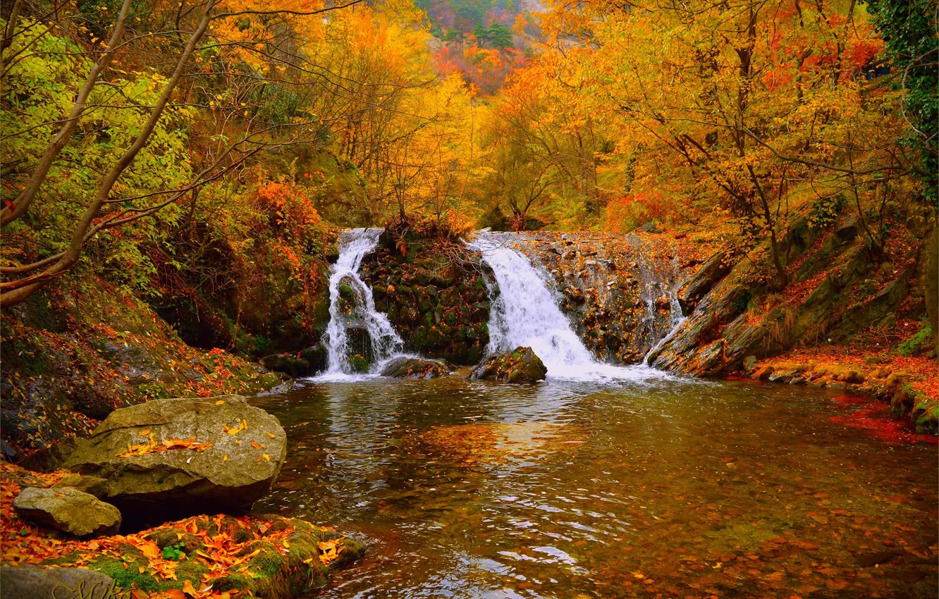 Photo wallpaper autumn, forest, waterfall, forest, autumn, waterfall, fall