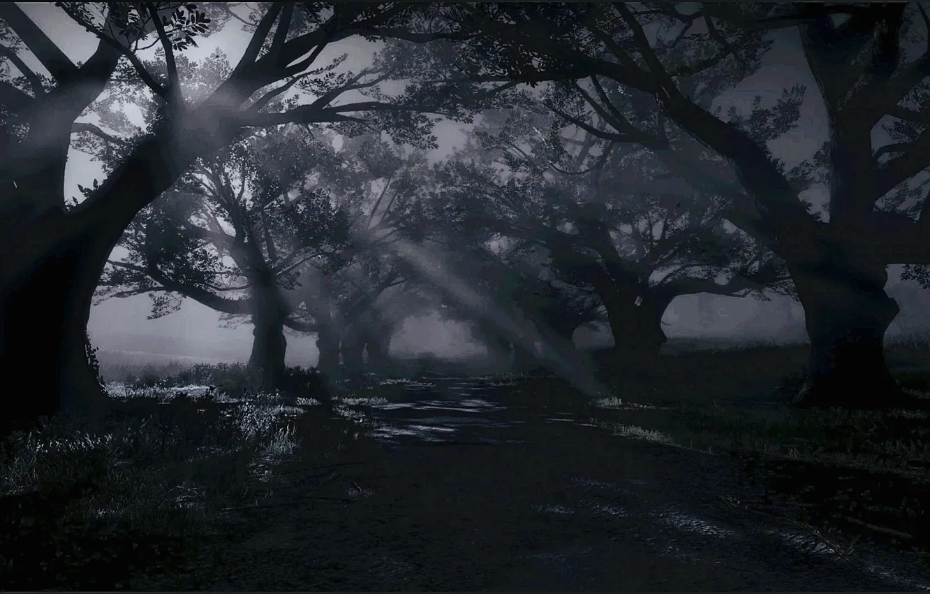 Photo wallpaper HDR, game, trees, night, moonlight, shade, UHD, Red Dead Redemption 2