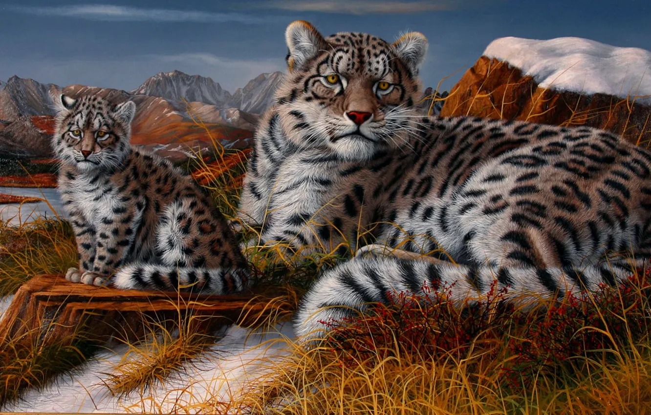 Photo wallpaper mountains, art, IRBIS, cub, kitty, two, Leopard