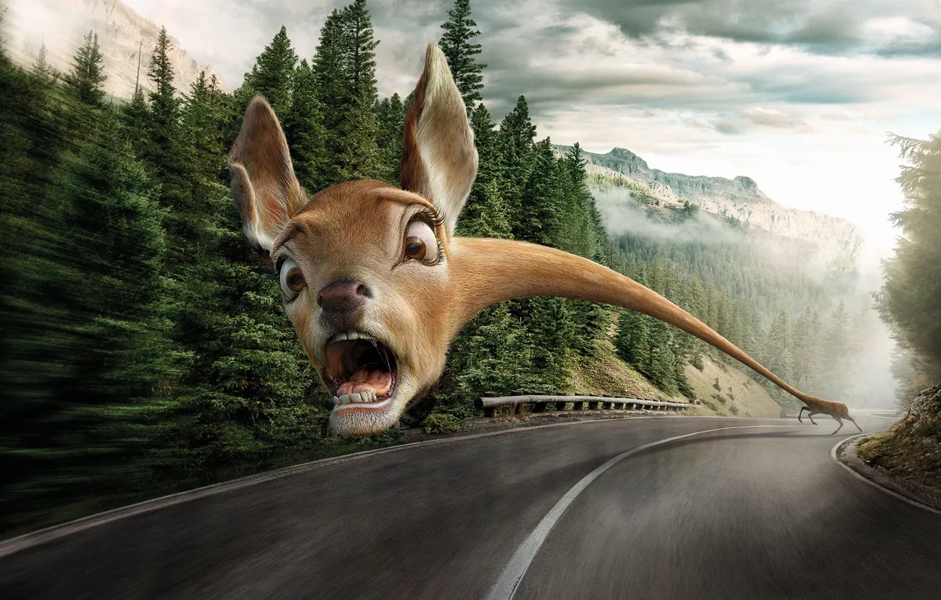 Photo wallpaper road, animals, fear, danger