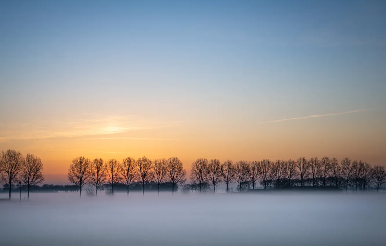 Photo wallpaper field, sunset, fog