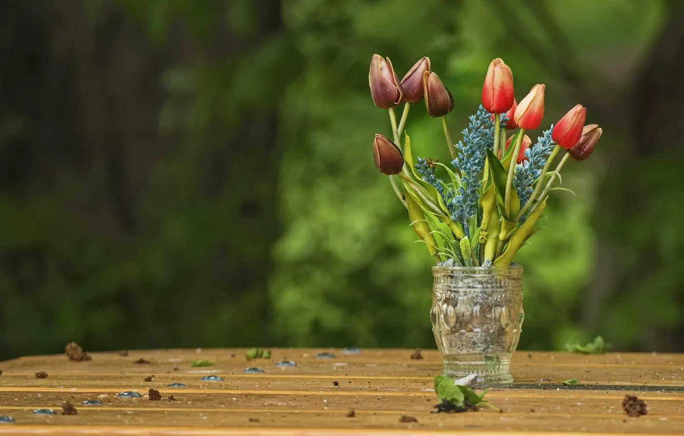 Photo wallpaper flowers, nature, table, bouquet, spring, tulips, red, vase