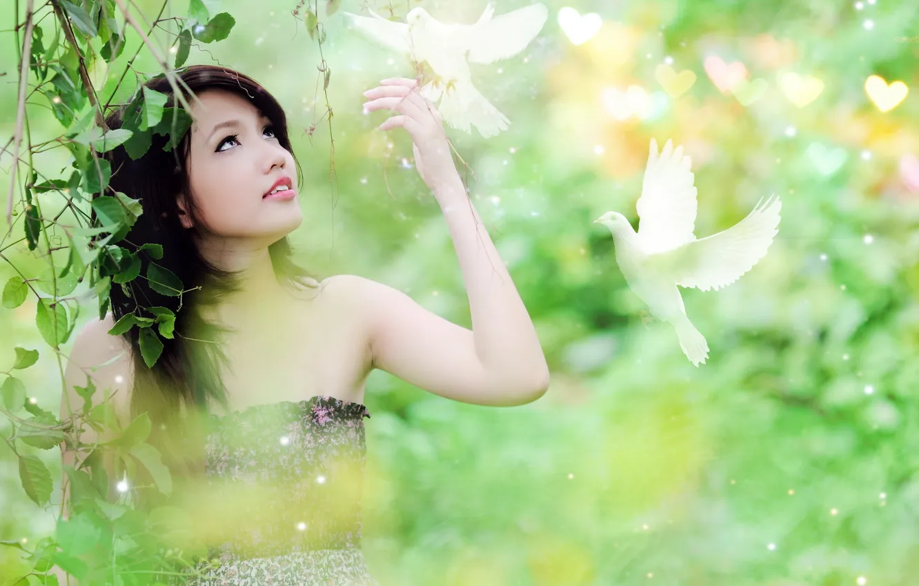 Photo wallpaper girl, mood, bird