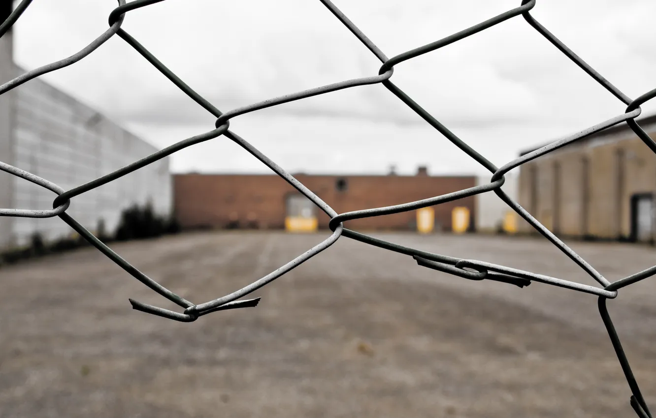 Photo wallpaper mesh, fence, territory