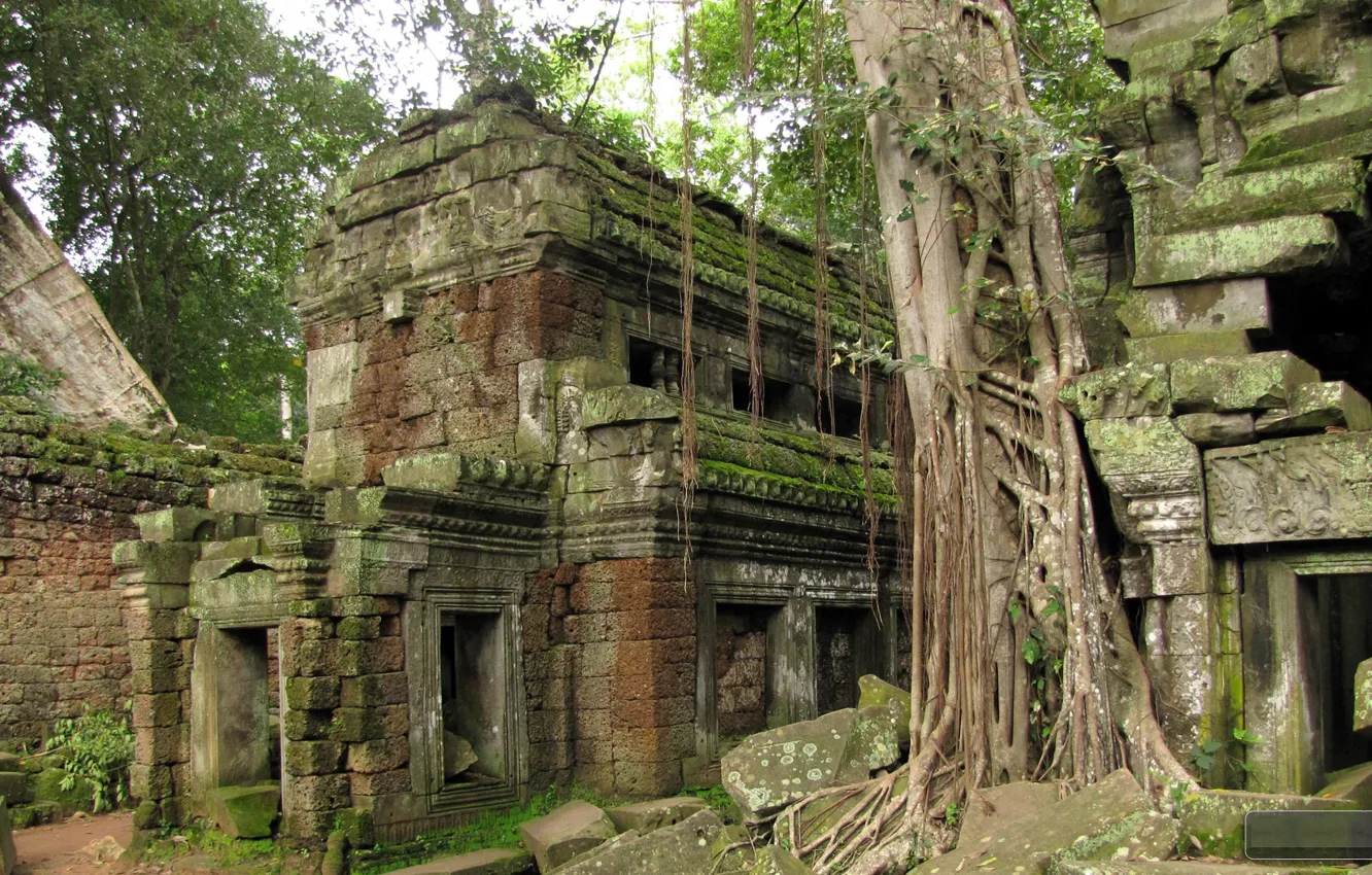 Wallpaper Cambodia, Cambodia, Cambodian jungle, the ruins of the castle ...