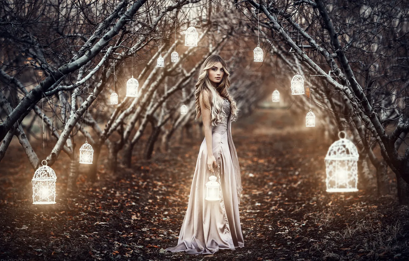 Photo wallpaper girl, lights, garden, lights