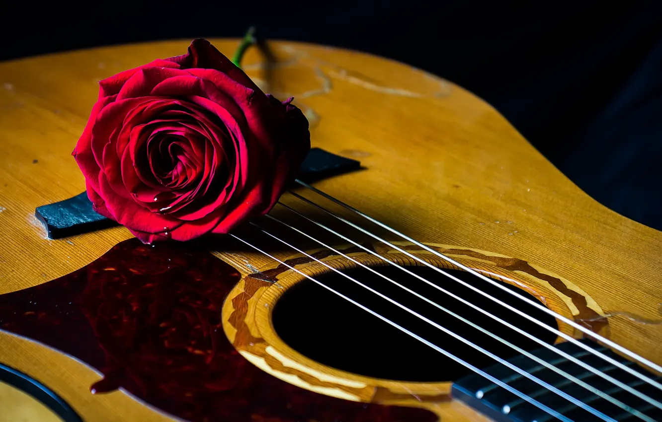 Photo wallpaper background, rose, guitar