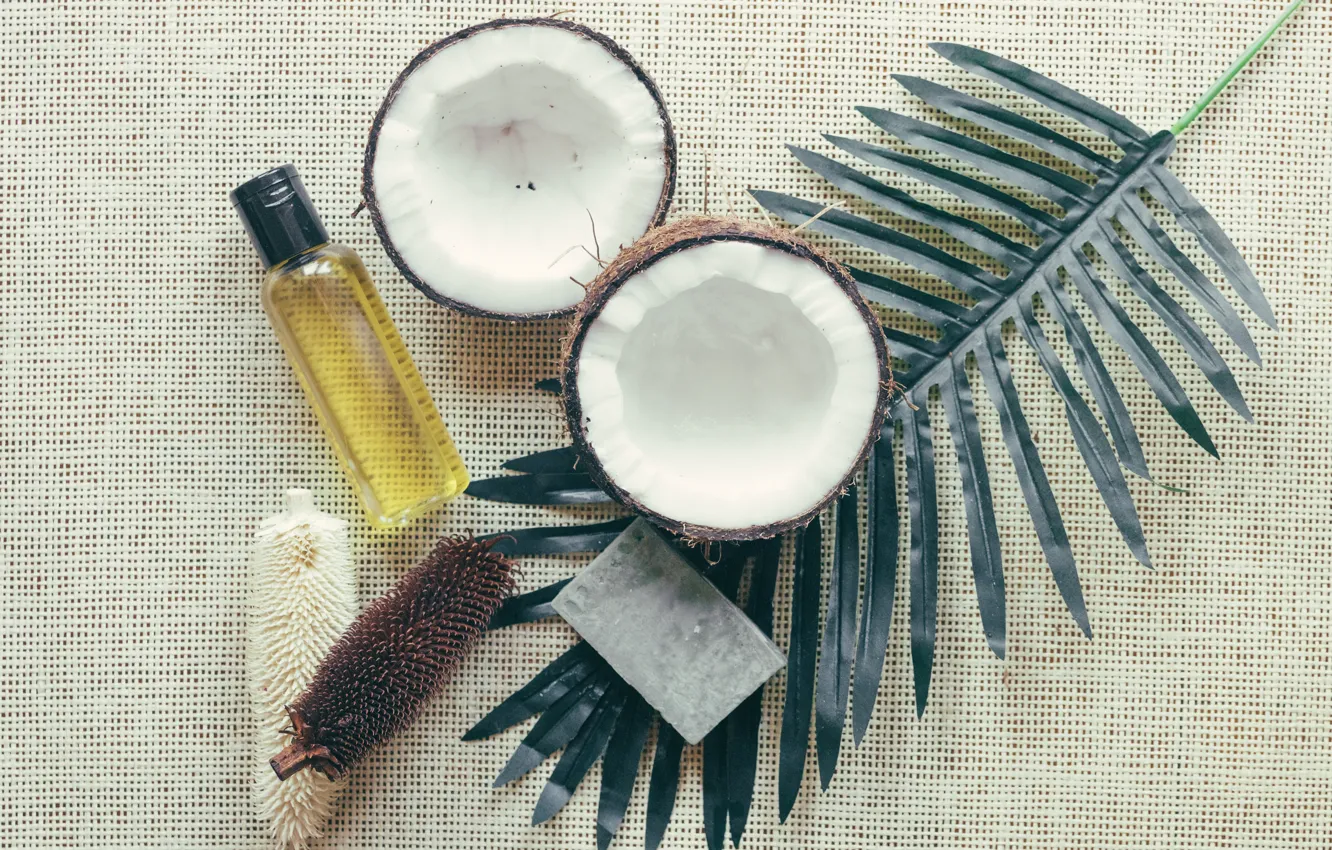 Photo wallpaper leaves, oil, coconut, cosmetics