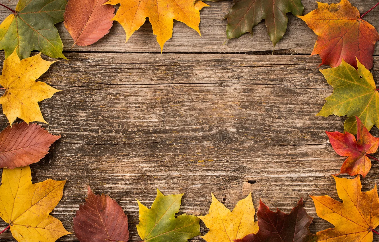 Photo wallpaper autumn, leaves, background, Board, colorful, maple, wood, autumn
