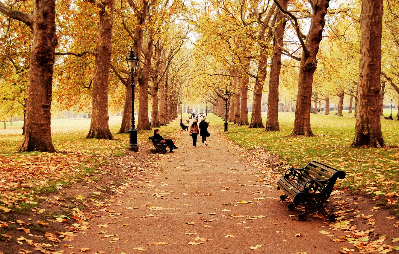 Photo wallpaper autumn, leaves, trees, landscape, bench, nature, children, people
