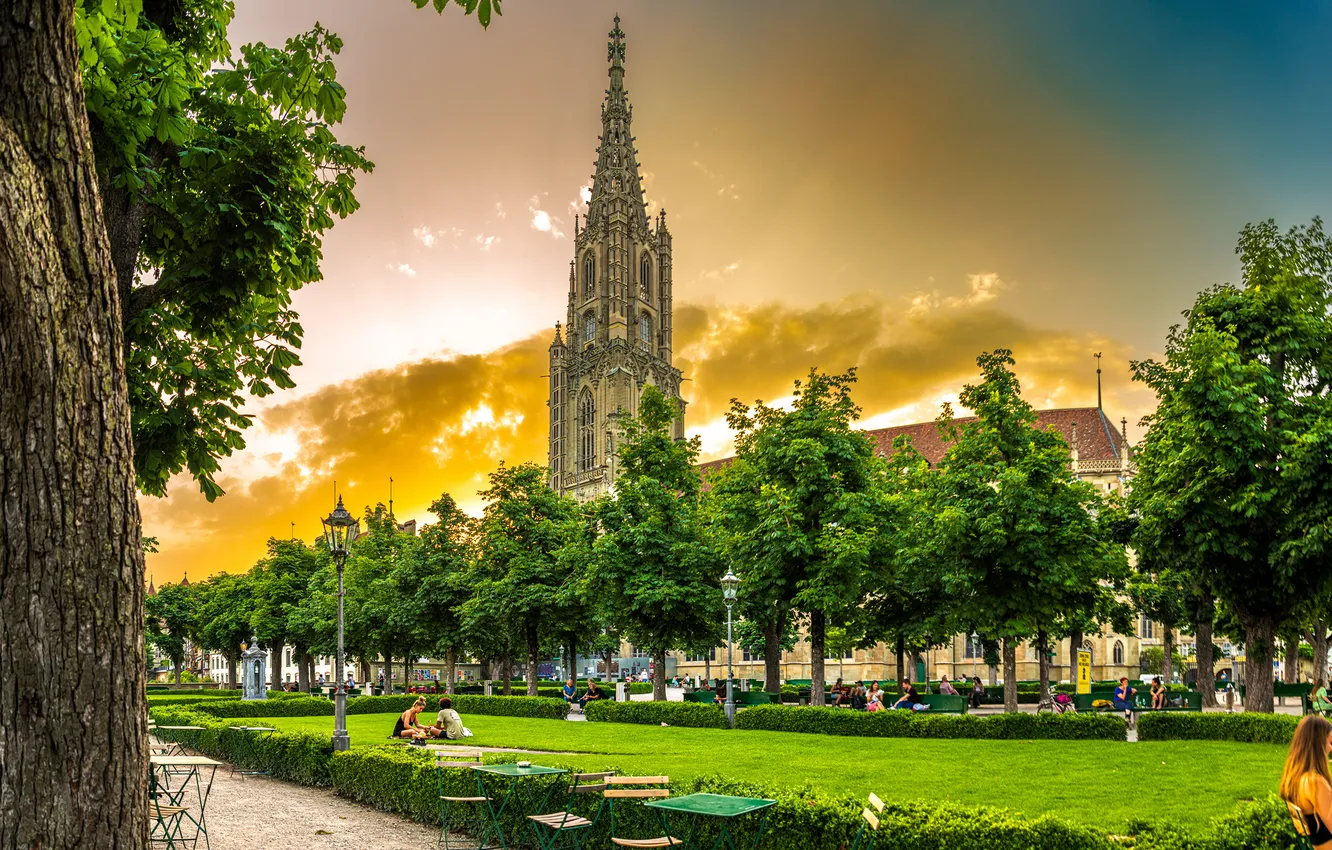 Photo wallpaper trees, the city, home, Switzerland, Bern