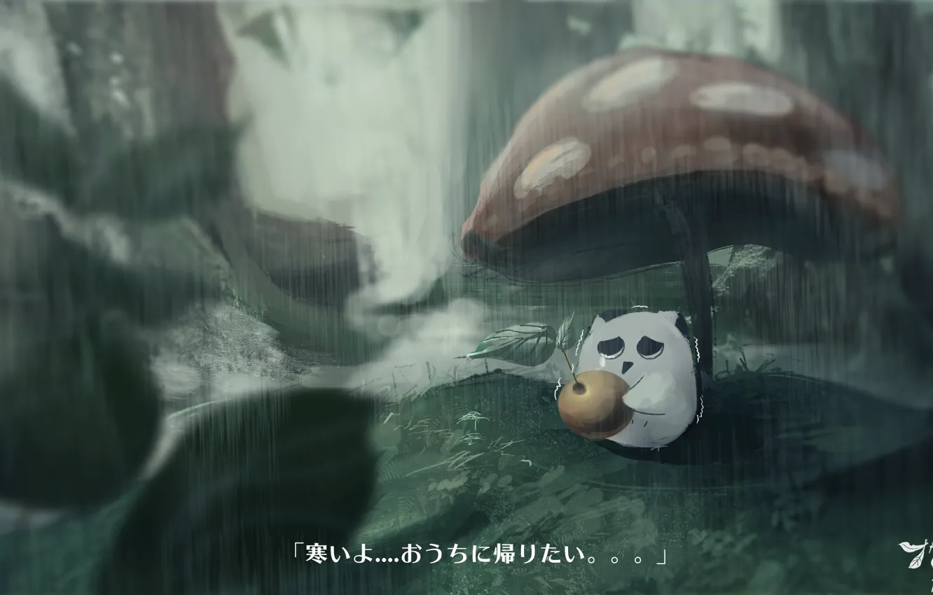 Photo wallpaper rain, mushroom, cherry, owlet, sad