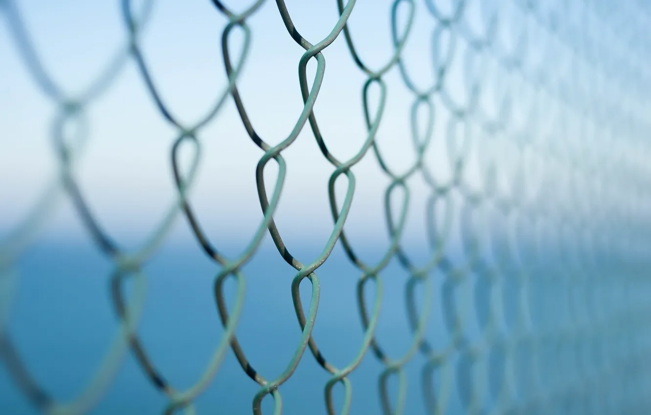 Photo wallpaper macro, background, the fence, netting
