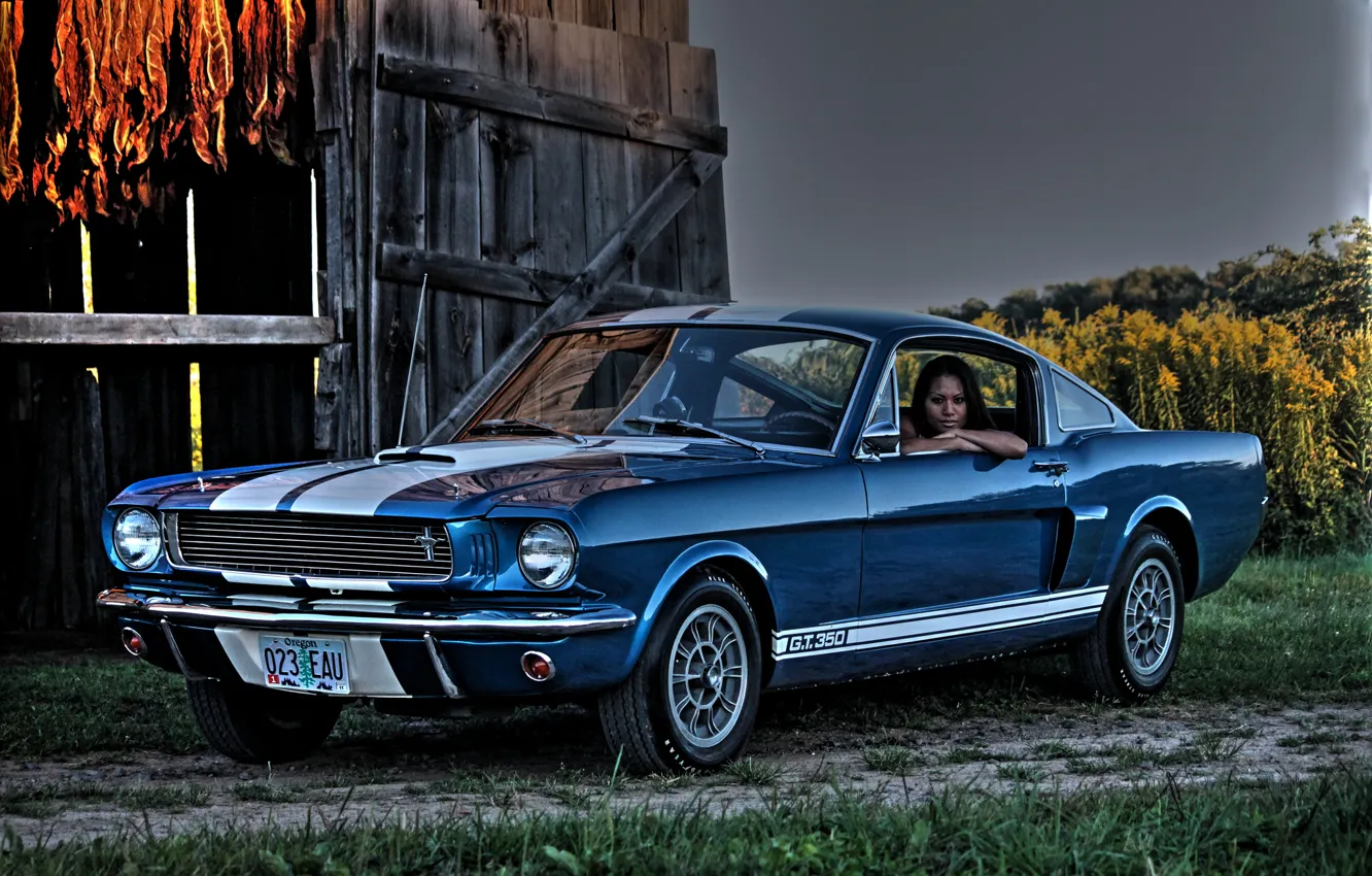 Photo wallpaper Shelby, Ford Mustang, muscle car, 1966, Muscle car, GT350
