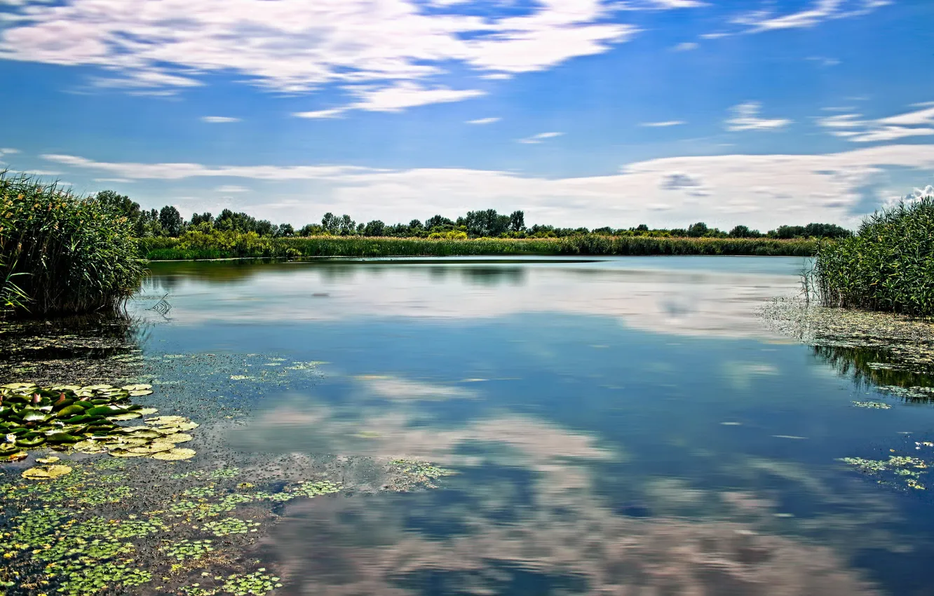 Photo wallpaper landscape, nature, lake, Hungary, Tisza