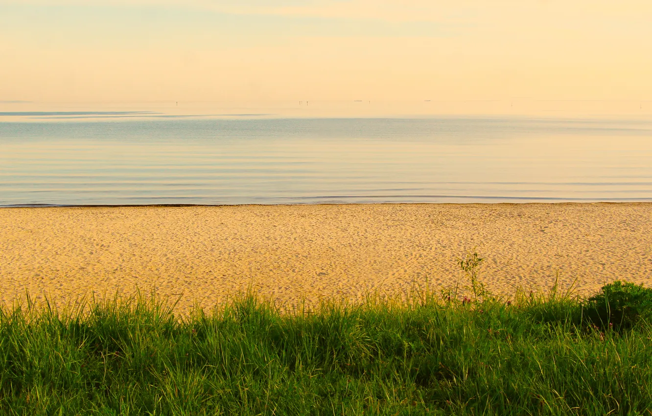 Photo wallpaper grass, beach, sea, sand