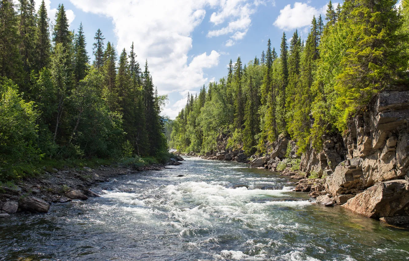 Photo wallpaper river, sky, trees, wood, water, clouds, rocks, Wilderness