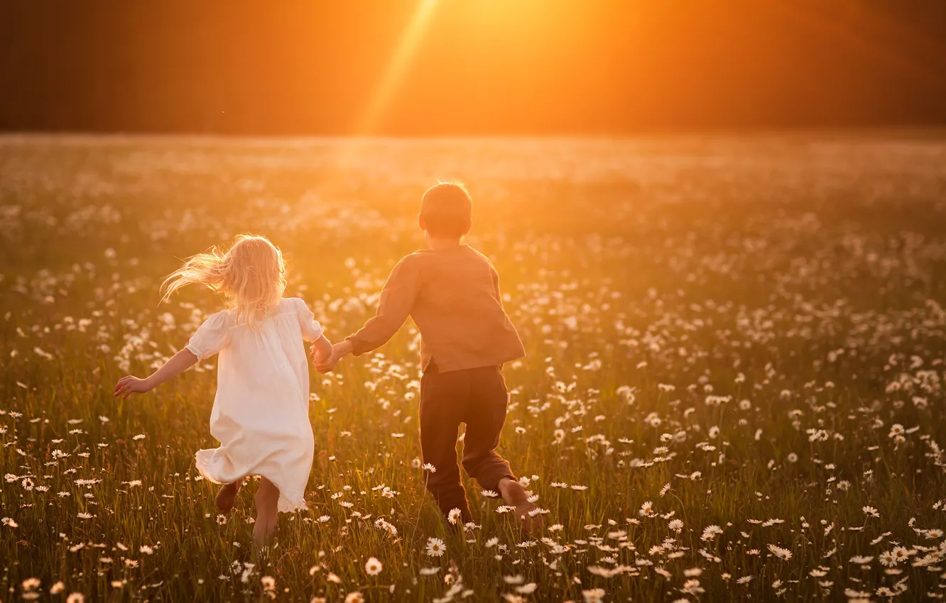 Photo wallpaper field, the sun, rays, light, sunset, flowers, children, childhood