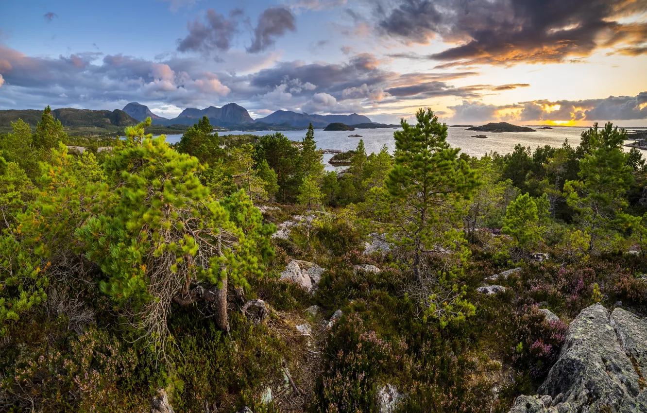 Photo wallpaper trees, landscape, mountains, nature, stones, the ocean, vegetation, Norway