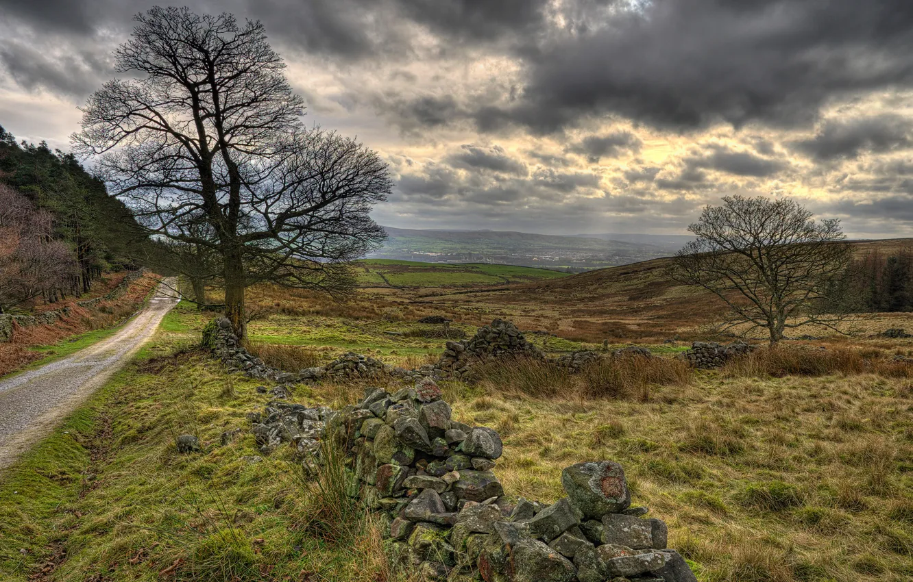 Photo wallpaper road, field, grass, clouds, overcast, Britain, Walker Fold, Chaigley