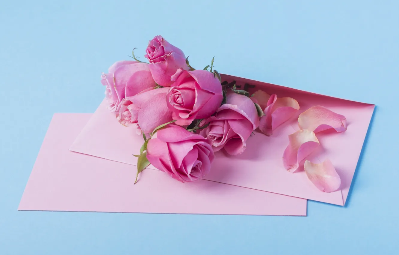 Photo wallpaper flowers, roses, pink, pink, flowers, beautiful, romantic, letter